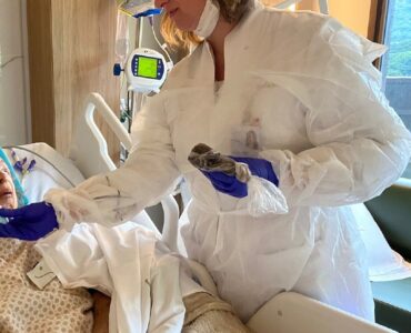 Especialista fala sobre inovações na psicologia hospitalar