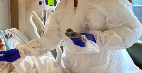 Especialista fala sobre inovações na psicologia hospitalar