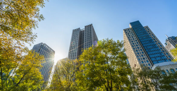 Grant Thornton orienta sobre adaptação ao IFRS S1 e S2