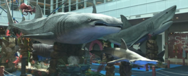 Exposições temáticas podem aliar diversão e aprendizado