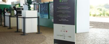 Science & Arts: espaço imersivo uniu arte e ciência