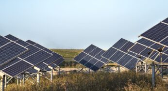 Inteligência de dados avança no setor fotovoltaico