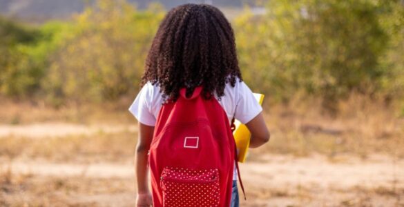 Doações via IRPF chegam a R$ 414 milhões em 2025