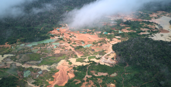 Garimpo ilegal toma Amazônia e desafia mineração responsável