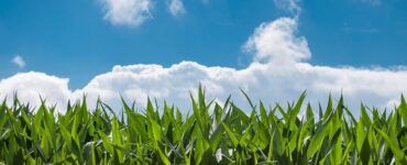 Indústria química impulsiona fertilizantes sustentáveis