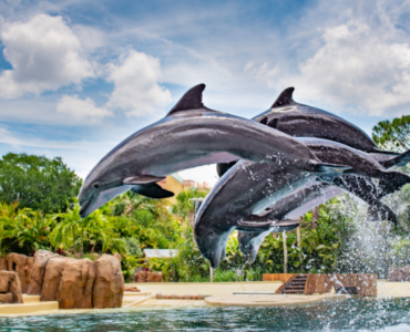 Brasileiros compram mais ingressos para parques na Flórida