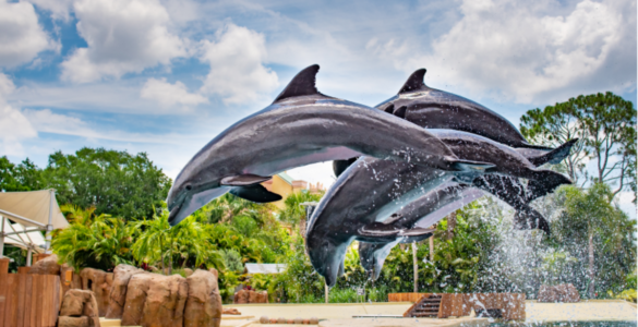Brasileiros compram mais ingressos para parques na Flórida