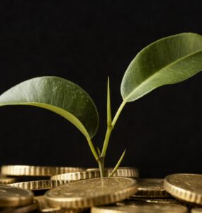 Créditos de carbono poderão quitar impostos no agronegócio
