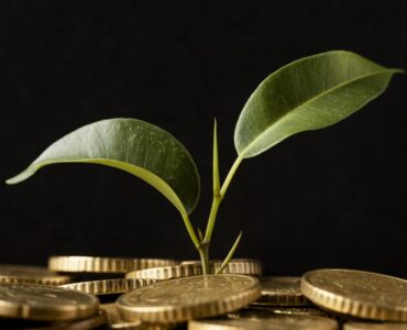 Créditos de carbono poderão quitar impostos no agronegócio