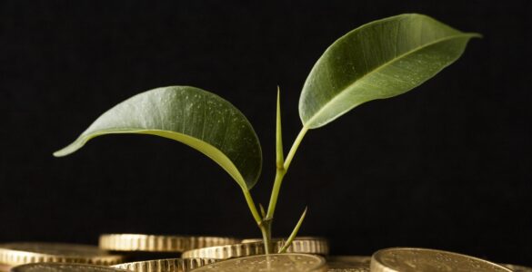 Créditos de carbono poderão quitar impostos no agronegócio