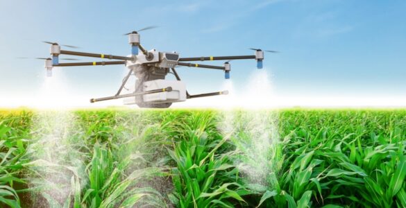 Tecnologia impulsiona sustentabilidade no agronegócio brasileiro