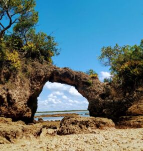 Ilhéus reúne experiências que mostram o sul da Bahia em movimento