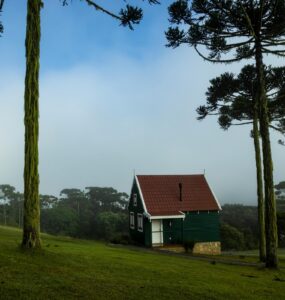 Receita Federal moderniza declaração do imposto rural em 2025