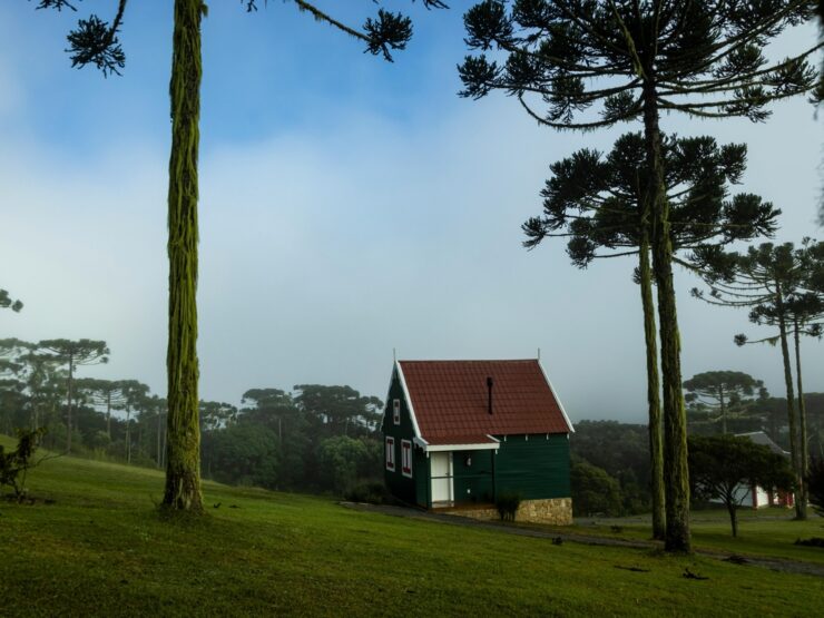 Receita Federal moderniza declaração do imposto rural em 2025