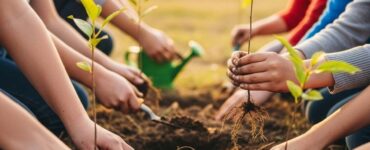 ESG ganha força no país com impacto sustentável e social