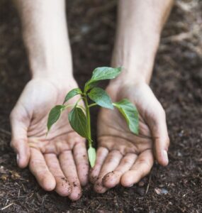 Projeto Viver Territórios promove workshops gratuitos