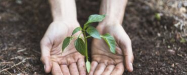 Projeto Viver Territórios promove workshops gratuitos