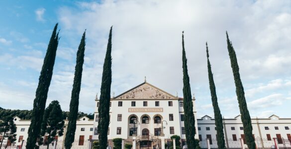 Salton completa 115 anos com tradição e inovação no setor