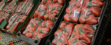 Festa de Flores e Morangos de Atibaia celebra sua 43ª edição