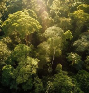 Belém sedia seminário sobre turismo regenerativo na Amazônia