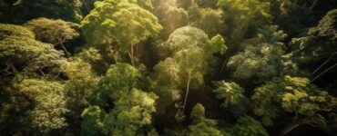 Belém sedia seminário sobre turismo regenerativo na Amazônia