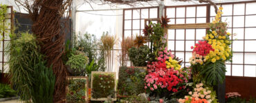 Festa de Flores e Morangos de Atibaia acontece em setembro