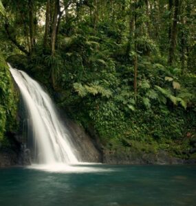 Ecoturismo combina contato com a natureza e sustentabilidade