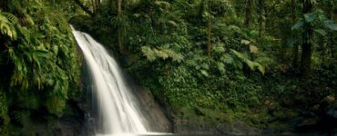 Ecoturismo combina contato com a natureza e sustentabilidade