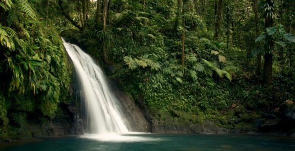 Ecoturismo combina contato com a natureza e sustentabilidade