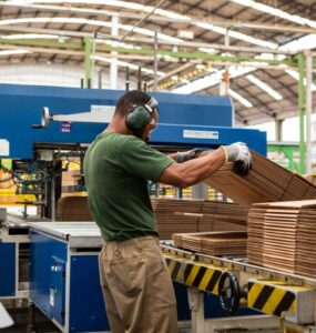 Indústria de celulose avança sob pressão por sustentabilidade