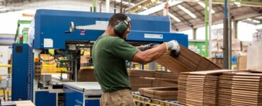 Indústria de celulose avança sob pressão por sustentabilidade