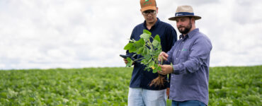 Bom Jesus publica segundo Relatório de Sustentabilidade