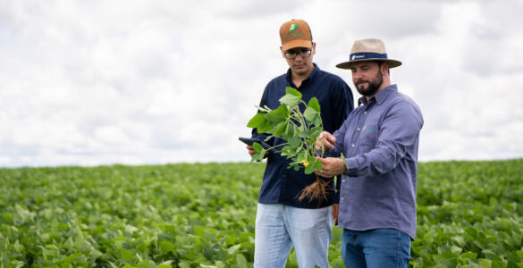 Bom Jesus publica segundo Relatório de Sustentabilidade