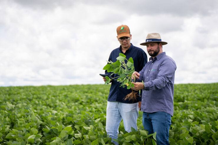 Bom Jesus publica segundo Relatório de Sustentabilidade
