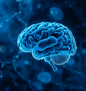 Neurociência reforça gestão de equipes em ambientes de saúde