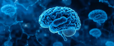Neurociência reforça gestão de equipes em ambientes de saúde