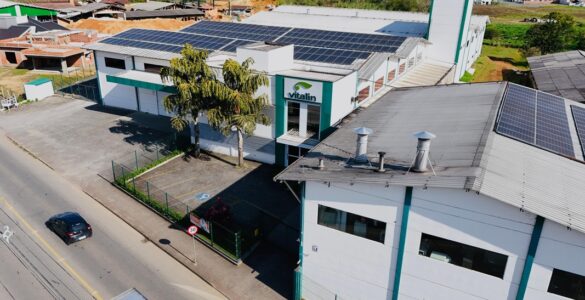 Vitalin completa 25 anos e anuncia meta de crescimento de 25