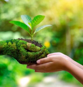 Educação ambiental promove o desenvolvimento sustentável