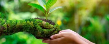 Educação ambiental promove o desenvolvimento sustentável