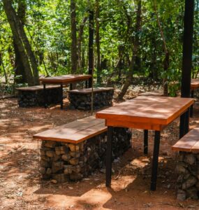 Uberlândia ganha primeiro parque dentro de floresta preservada