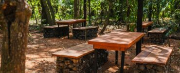 Uberlândia ganha primeiro parque dentro de floresta preservada