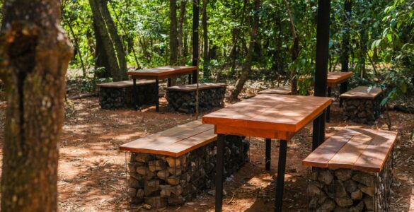 Uberlândia ganha primeiro parque dentro de floresta preservada