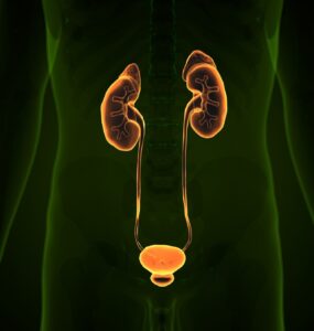 Tecnologia transforma tratamentos na urologia moderna