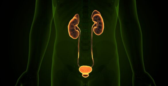 Tecnologia transforma tratamentos na urologia moderna