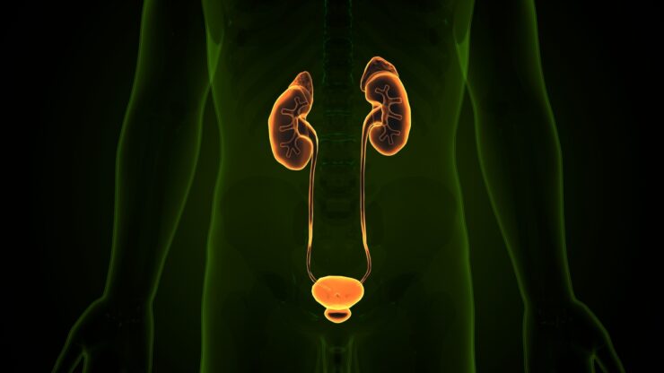 Tecnologia transforma tratamentos na urologia moderna