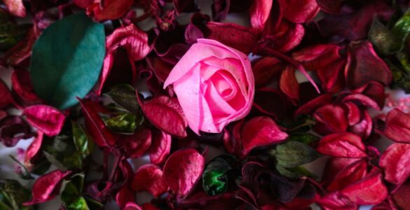 Ação do caminhão da Giuliana Flores repercute entre consumidores e celebridades