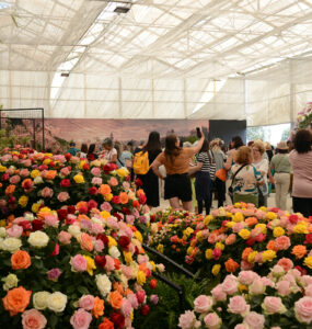 Atibaia é destaque nacional de produção de flores