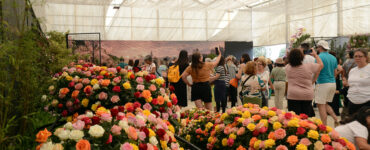 Atibaia é destaque nacional de produção de flores