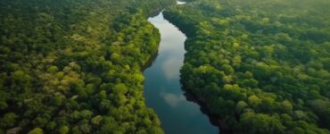 Livro 'Amazônia' analisa a gestão daquela localidade