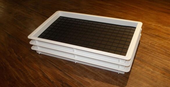 Padronização e sustentabilidade ganham espaço nas cozinhas profissionais